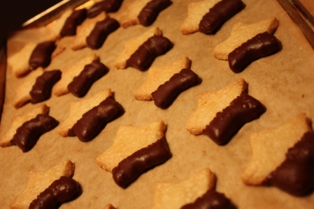 Salty shortbread cookies wearing chocolate pants
